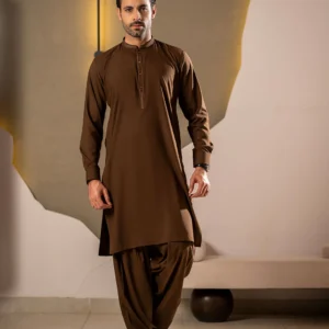 Brown Embroidered Kameez Shalwar C-10217