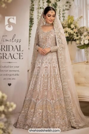 Royal Bridal Walima Silk Maxi With Handwork | M-001